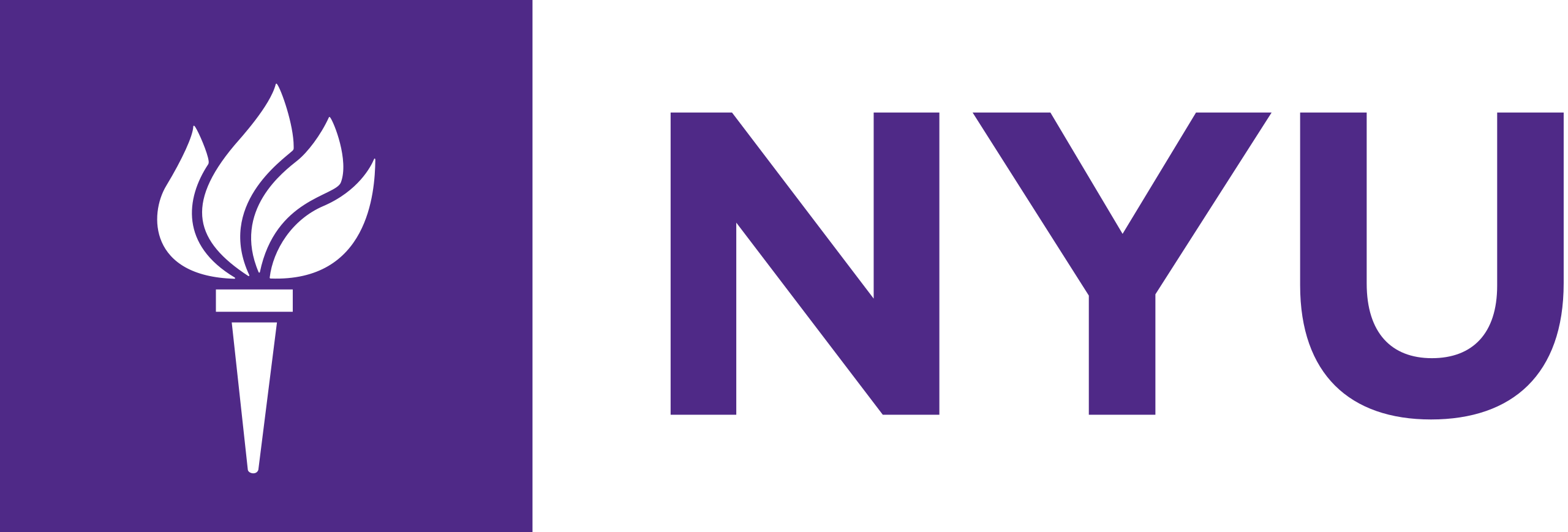 NYU Image